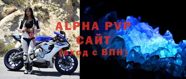 гашик Семилуки